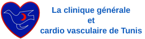 logo ccv
